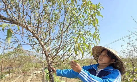 Trục đại lộ cảnh quan sông Hồng: Chỗ đứng nào cho làng nghề truyền thống?