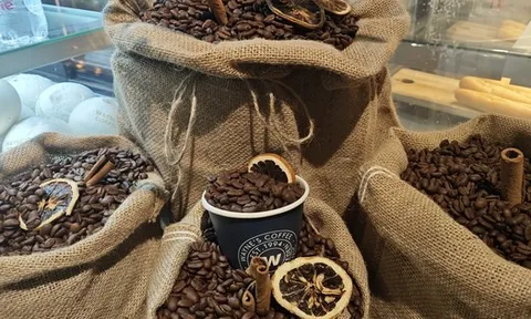 Giá cà phê hôm nay 4-1: Việt Nam là nguồn cung cà phê thứ 3 cho Mỹ