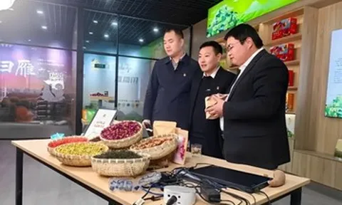 Livestream bán nông sản: Ba bí thư làng thu tiền tỷ cho nông dân