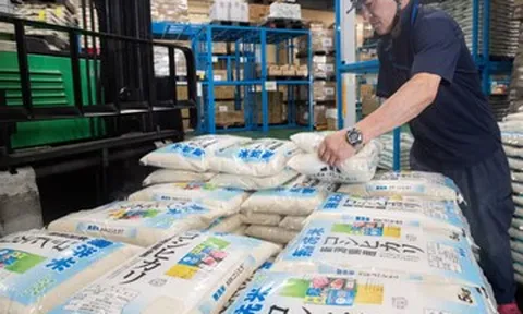 Giá gạo nội địa quá cao, Nhật Bản chứng kiến làn sóng nhập khẩu kỷ lục