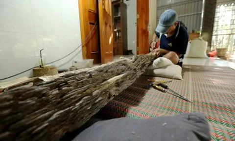 Phát hiện khúc trầm tốc bông tự nhiên tiền tỷ ở Hà Tĩnh