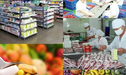 Phân cấp giải quyết thủ tục hành chính lĩnh vực an toàn thực phẩm