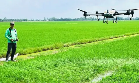 2 hoạt chất thuốc bảo vệ thực vật sắp bị cấm sử dụng tại Việt Nam