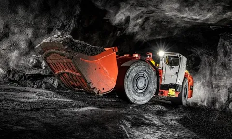 Biệt đội kỳ lạ ra vào mỏ vàng liên tục, có thể cõng 50 tấn vật liệu mà không tốn một giọt xăng dầu