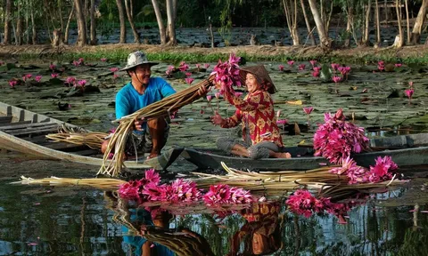 Du lịch Việt Nam: Cột mốc 20 triệu khách quốc tế và tầm vóc quốc gia