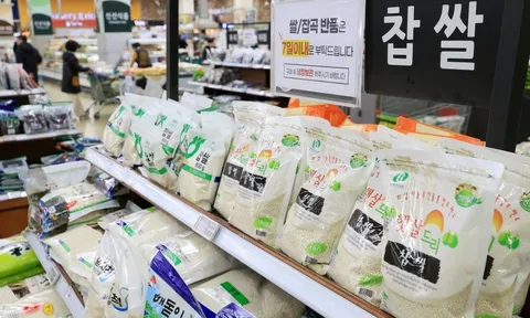 Giá gạo tại nền kinh tế lớn thứ 4 thế giới leo thang kỷ lục, quốc gia láng giềng liền nhận tin vui