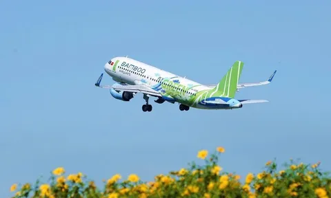 Về tay FLC, Bamboo Airways ráo riết tuyển 1.000 tiếp viên, lộ rõ tham vọng lớn