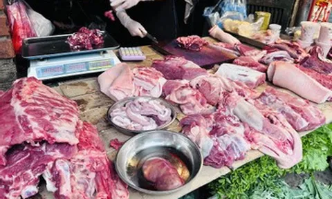 Chi 1,95 tỷ USD nhập thịt, cận Tết Bính Ngọ giá lợn hơi vẫn leo thang