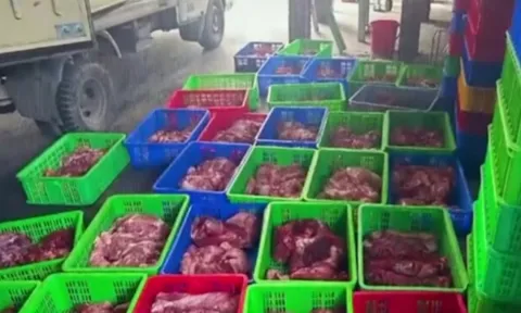 Phát hiện đường dây mua bán hơn 130 tấn thịt lợn bệnh