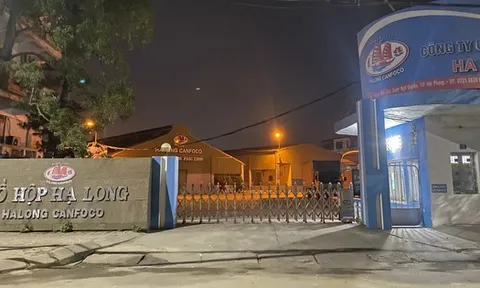 Đồ hộp Hạ Long từng đạt giải thưởng "Top 50 doanh nghiệp mạnh ASEAN"