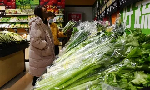 Dự báo mới về tăng trưởng kinh tế toàn cầu