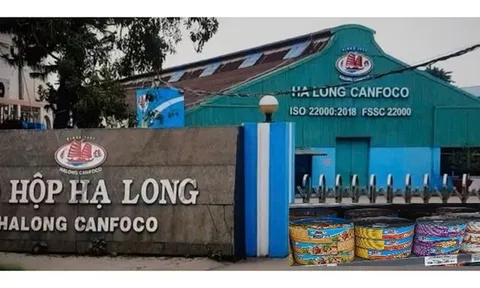 NÓI THẲNG: Patê “bẩn” của Hạ Long Canfoco và những người không thể vô can