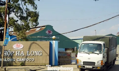 Vụ patê 'dính' thịt bệnh: Tình trạng nhà máy Đồ hộp Hạ Long hiện nay