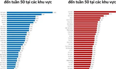 Bộ Y tế gửi công văn khẩn cho TPHCM về hai dịch bệnh phức tạp