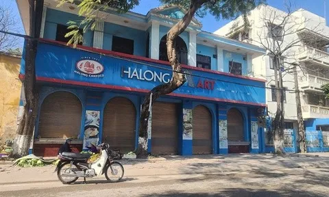 Vụ đồ hộp Hạ Long: Bài học đắt giá