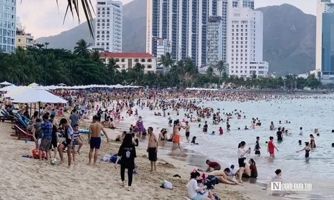 Chưa đến Tết nguyên đán Bính Ngọ, nhiều tour đã kín 60–80% chỗ