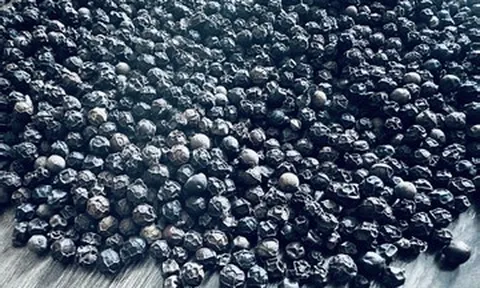 ‘Vàng đen’ giá đắt đỏ, Việt Nam thu về 1,66 tỷ USD