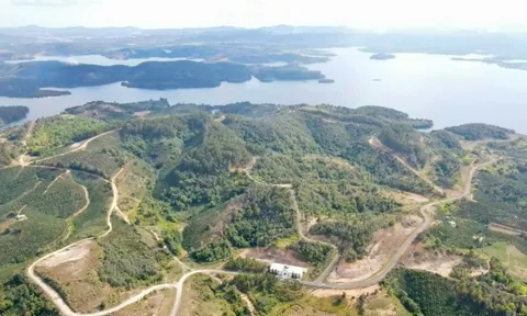 Thu hồi toàn bộ 3.600 ha đất cấp cho dự án Sài Gòn Đại Ninh