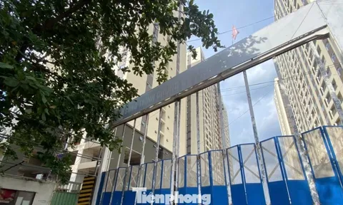 Lý do dự án nhà ở xã hội 'hot' nhất TPHCM chưa mở bán