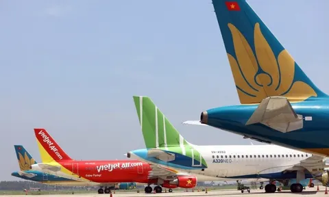 Hãng bay “xanh” của Việt Nam từ thua lỗ đến lãi lập đỉnh lịch sử