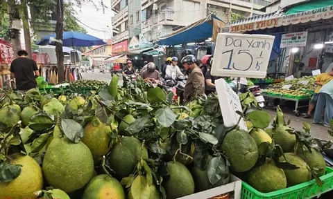 Giá bưởi da xanh bất ngờ rẻ ngay trước tháng Chạp