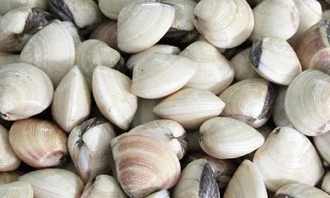 Hộ kinh doanh ngao thắc mắc, trường hợp nào chịu thuế GTGT khi vừa tự nuôi, vừa mua lại để bán? Cục Thuế trả lời