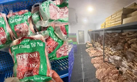 Cận cảnh kho thịt heo "đội lốt" đà điểu, dê, nai, nhím tuồn ra thị trường vừa bị triệt phá