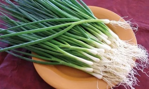 Ít người biết: Nhiều loại rau quen thuộc chứa “kháng sinh tự nhiên”, rất tốt cho sức khỏe khi trời lạnh