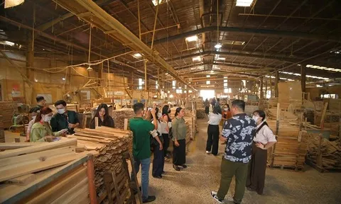 Bước ngoặt của doanh nghiệp gần hai thập kỷ gia công xuất khẩu gỗ vào Mỹ, Úc, châu Âu...