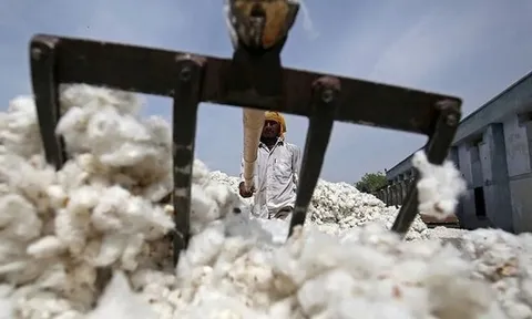 Xuất khẩu sang Trung Quốc trượt dốc mạnh, Mỹ ồ ạt đưa một mặt hàng vào Việt Nam, nước ta tiêu thụ 1,5 triệu tấn/năm