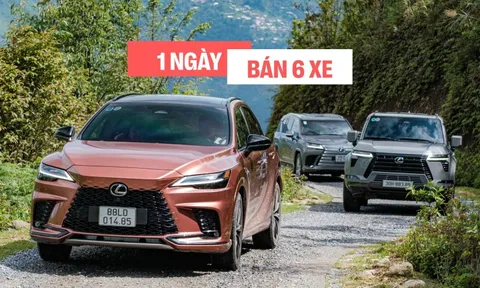Mỗi ngày người Việt chốt 6 chiếc Lexus trong năm qua, đẩy doanh số hãng tại Việt Nam lần đầu vượt mốc 15.000