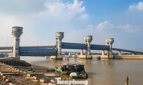 Thanh Hóa thúc đẩy đưa công trình cầu cống thủy lợi 'khủng' vào vận hành trước Tết