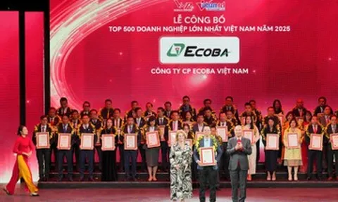 Ecoba Việt Nam 7 năm liên tiếp vào Top VNR500