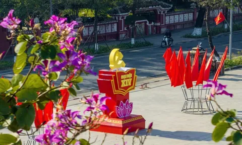 Rực rỡ cờ, hoa chào mừng Đại hội XIV của Đảng