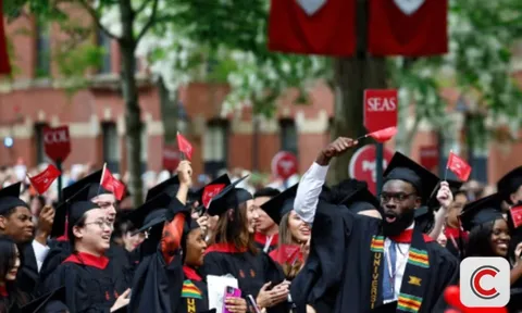 Cơn thoái trào của bằng cấp: Sinh viên Harvard, Duke cũng thất nghiệp, MBA không còn là 'bảo chứng' thăng tiến