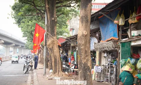 Phố Cầu Mới thông thoáng bất ngờ sau khi 'xóa sổ' chợ tự phát