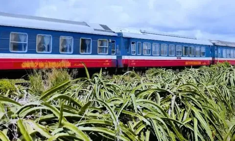 Đề xuất đầu tư để cải tạo đường sắt Hà Nội - TP. Hồ Chí Minh