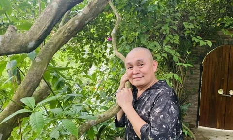 Danh hài Xuân Hinh: "Minh nói như vậy, tôi không làm thì thấy có tội"