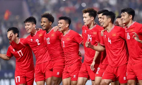 Đội tuyển Việt Nam tụt hạng FIFA