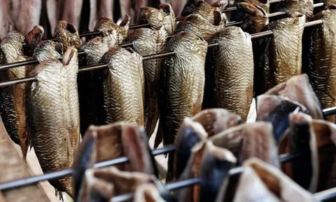 Một 'mỏ vàng' của Việt Nam hốt bạc từ Tây sang Đông: Thu về hơn 2 tỷ USD, cả thế giới nuôi nhưng chỉ nước ta tạo ra ngành công nghiệp