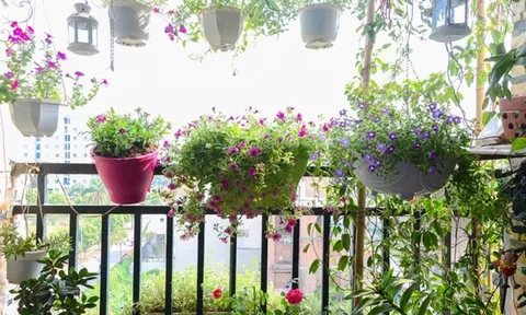 Những ý tưởng thú vị trang trí ban công đón Tết