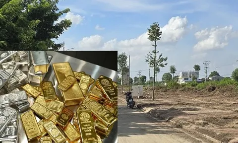 "Đủ đỉnh" đất từ cơn sốt 2021-2022, nhà đầu tư vẫn chưa về bờ than: "Giá như không bỏ 3 tỷ đồng mua mảnh đất 2.800m2 thì đã có vốn đầu tư vàng, bạc"