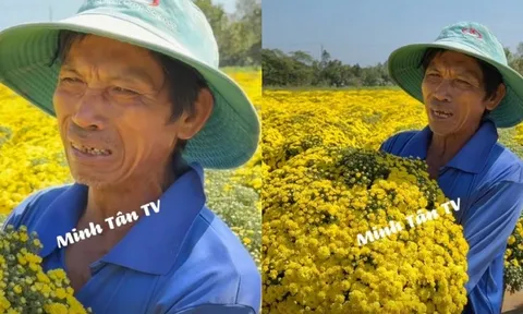 Đau xé lòng cảnh chủ vườn hoa Sa Đéc bật khóc nức nở khi hơn 2.000 chậu cúc vàng nở sớm không ai mua