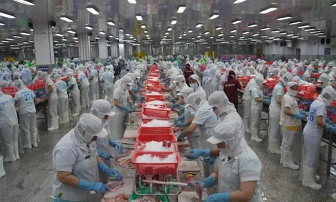 Đồng Tháp thưởng Tết cao nhất 300 triệu đồng/người