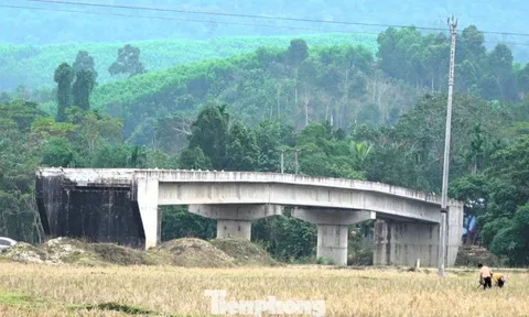 Cầu tiền tỷ xây xong rồi bỏ hoang