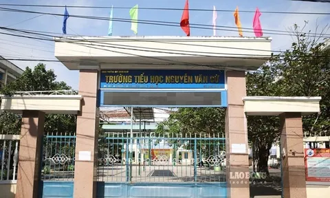 Kết luận về vụ huy động 624 triệu đồng làm mái che, dọn vệ sinh cho trường