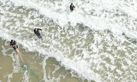 Nghề 'đi giật lùi' kéo 'lộc trời' từ cát, kiếm bạc triệu mỗi ngày