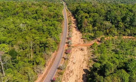 “Anh cả” siêu dự án đại lộ ven sông Hồng 855.000 tỷ đồng được chấp thuận là nhà đầu tư đề xuất tuyến đường xuyên rừng 13km tại Đồng Nai