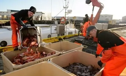 Nga đón tin vui từ Hàn Quốc