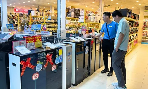 Doanh thu gần 6 tỷ USD, mỗi ngày thu hơn 428 tỷ đồng: Doanh nghiệp Việt này "hái ra tiền" bằng cách nào?